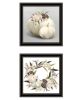 "BOHO Pumpkins and Flowers" 2-Piece Vignette by House Fenway; Ready to Hang Framed Print; Black Frame