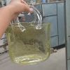 Creative transparent glass handbag fish tank vase decoration living room flower arrangement hydroponic decoration fish tank vase