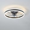 Ceiling Fan with Lights Dimmable LED